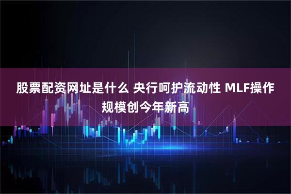 股票配资网址是什么 央行呵护流动性 MLF操作规模创今年新高